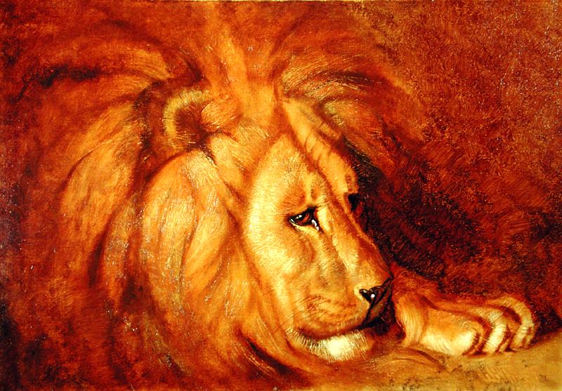 Lion at Rest, vintage artwork by Abbott Handerson Thayer, 12x8" (A4) Poster