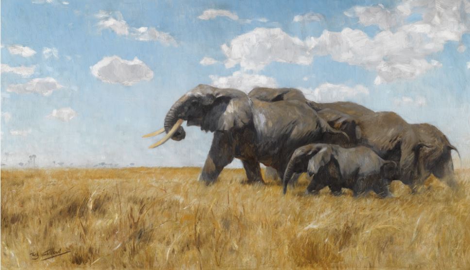 Elephants on the Move, vintage artwork by Wilhelm Kuhnert, 12x8" (A4) Poster