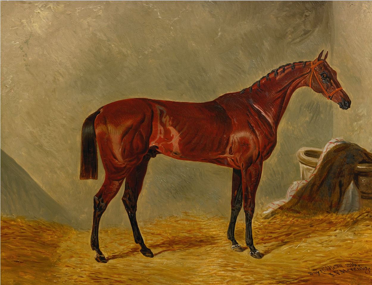 Bay Middleton, vintage artwork by John Frederick Herring, Sr, A3 (16x12") Poster Print