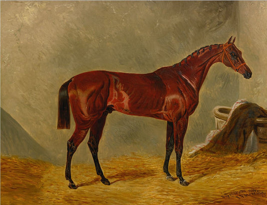 Bay Middleton, vintage artwork by John Frederick Herring, Sr, A3 (16x12") Poster Print