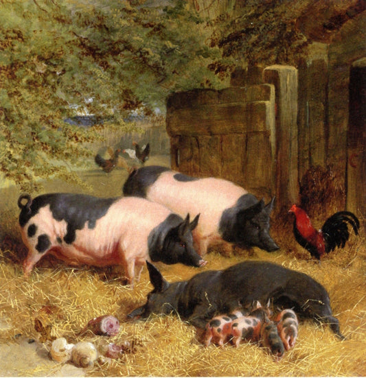 Berkshire Saddlebacks and Chickens in a Straw-bedded Yard, vintage artwork by John Frederick Herring, Sr, A3 (16x12") Poster Print