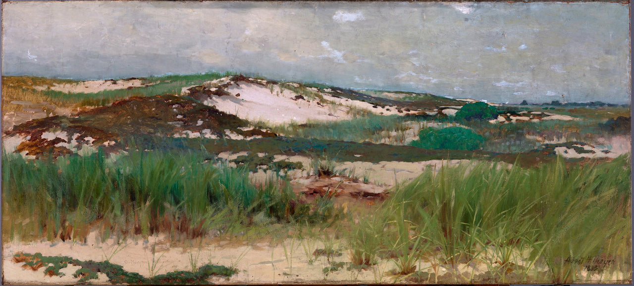 Nantucket Sand Dune, vintage artwork by Abbott Handerson Thayer, 12x8" (A4) Poster