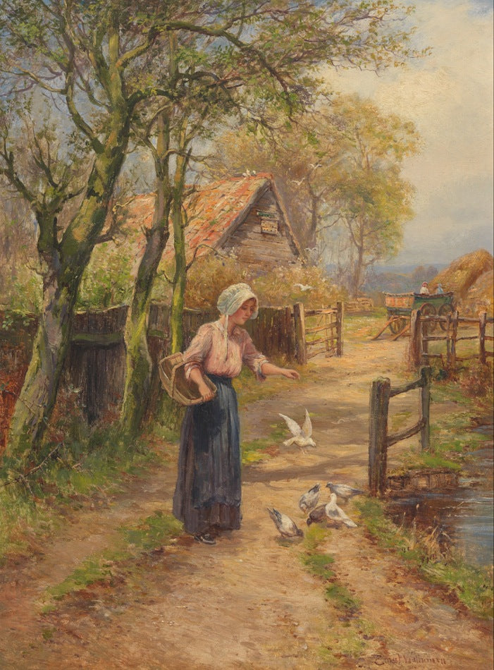 Woman Feeding Birds by Ernest Walbourn,16x12(A3) Poster