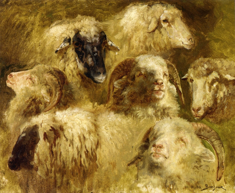 Heads of Ewes and Rams, vintage artwork by Rosa Bonheur, A3 (16x12") Poster Print