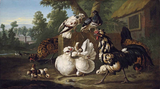 Birds in Farmyard, vintage artwork by Pieter Casteels, 12x8" (A4) Poster