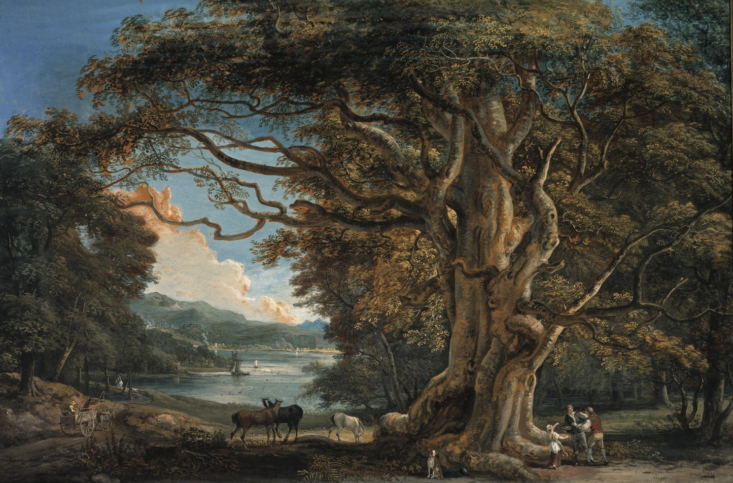 Ancient Beech Tree, vintage artwork by Paul Sandby , R.A., 12x8" (A4) Poster