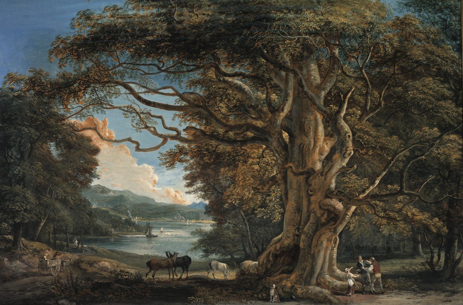 Ancient Beech Tree, vintage artwork by Paul Sandby , R.A., 12x8" (A4) Poster