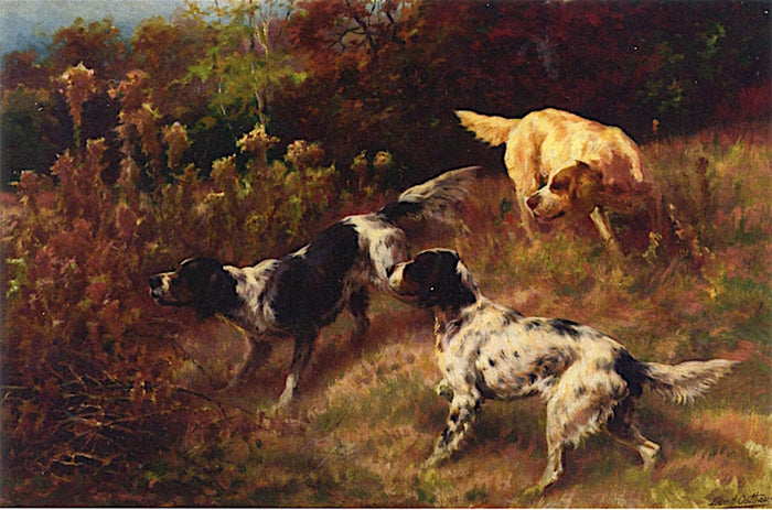 Three Setters on the Hung by Edmond H. Osthaus,A3(16x12