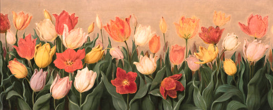 Forty Tulips, vintage artwork by Albertus del Orient Browere, A3 (16x12") Poster Print