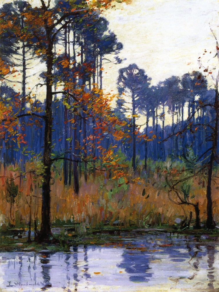 Winter in Southern Louisiana by Ellsworth Woodward,A3(16x12")Poster