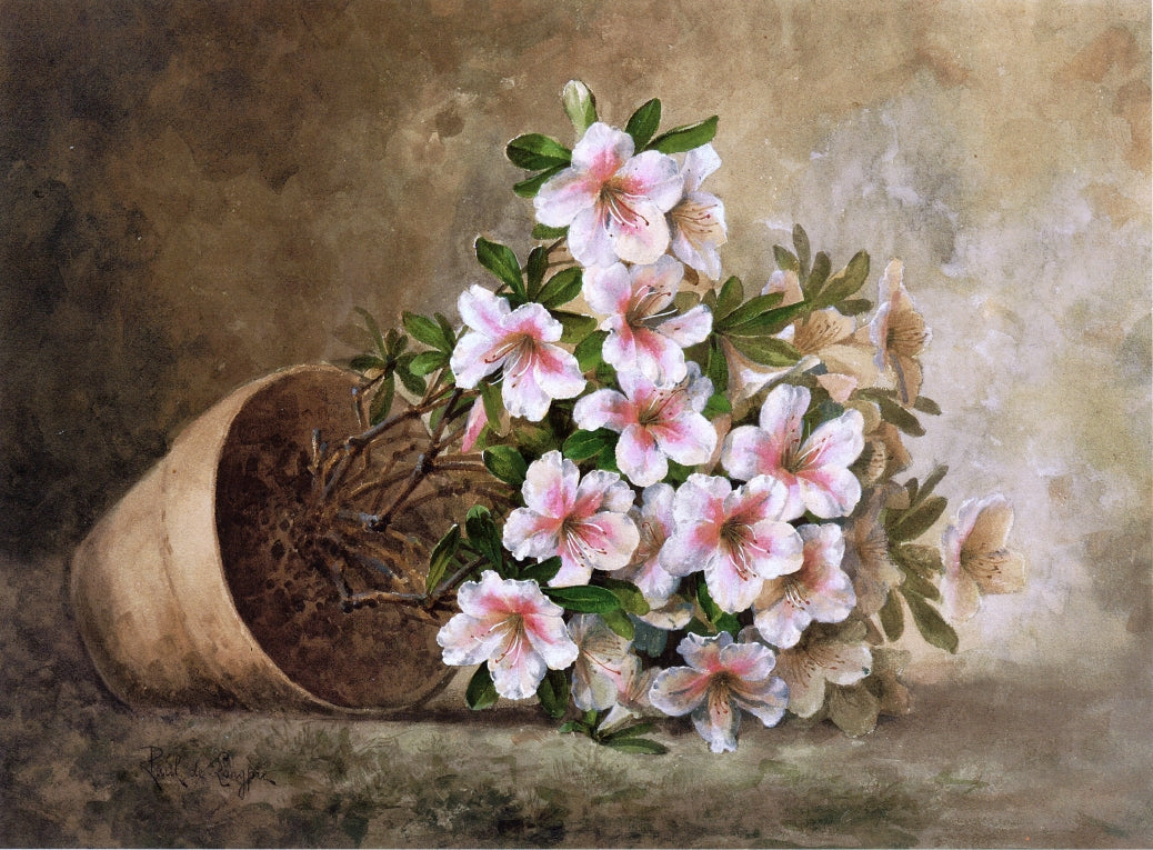 White Azaleas in a Flower Pot, vintage artwork by Paul De Longpre, 12x8" (A4) Poster