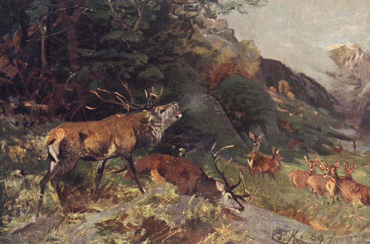 Deer Fight, vintage artwork by Christian Johann Kroner, 12x8" (A4) Poster