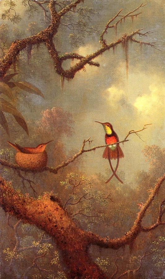 Crimson Topaz Hummingbirds Nesting in a Tropical Forest, vintage artwork by Martin Johnson Heade, A3 (16x12") Poster Print