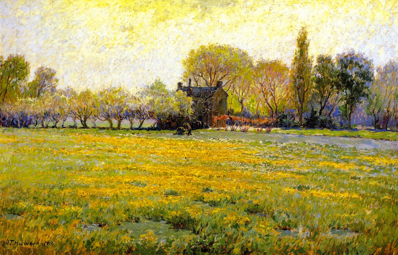 Dandelion Field, vintage artwork by James Taylor Harwood, 12x8" (A4) Poster