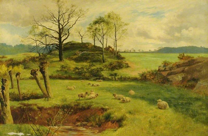 Sheep in Pasture by Walker Stuart Lloyd,16x12(A3) Poster