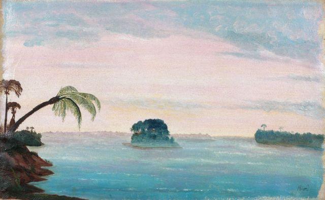 View in Brazil, vintage artwork by Francois-Auguste Biard, A3 (16x12") Poster Print