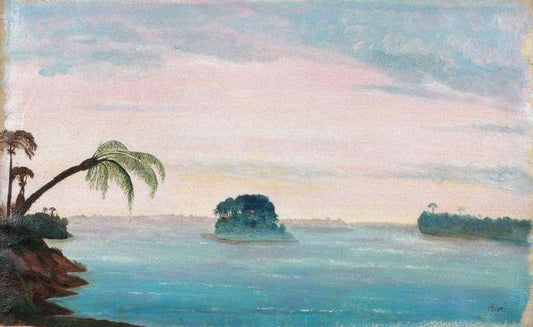 View in Brazil, vintage artwork by Francois-Auguste Biard, A3 (16x12") Poster Print