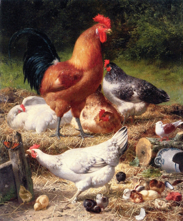 Hens and Chickens in a Farmyard, vintage artwork by Eugène Remy Maes, 12x8" (A4) Poster