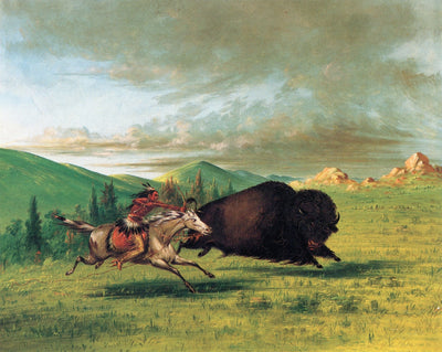 Buffalo Chase, vintage artwork by George Catlin, A3 (16x12") Poster Print