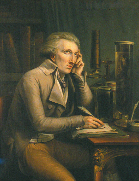 Portrait of Georges Cuvier, vintage artwork by Mattheus Ignatius van Bree, 12x8" (A4) Poster