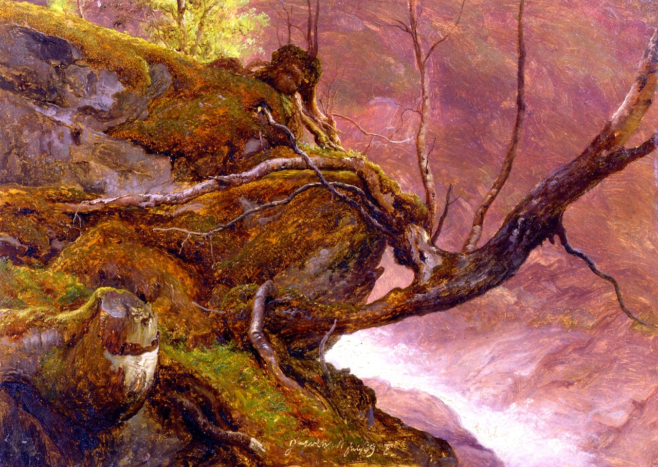 Tree Study, by  a Stream, Granvin, vintage artwork by Thomas Fearnley, A3 (16x12") Poster Print