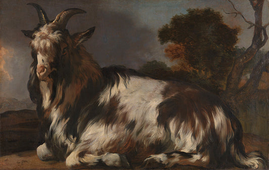 A Lying Goat, vintage artwork by Jan Baptist Weenix, 12x8" (A4) Poster