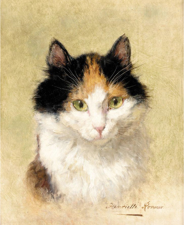 A Cat, vintage artwork by Henriette Ronner-Knip, A3 (16x12") Poster Print
