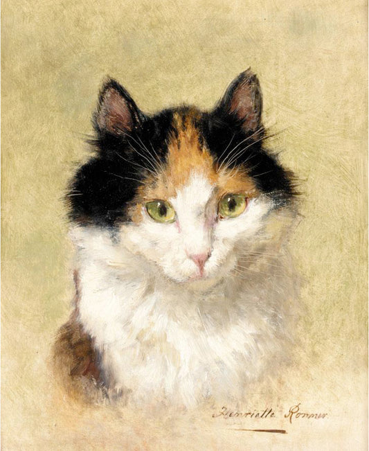 A Cat, vintage artwork by Henriette Ronner-Knip, A3 (16x12") Poster Print