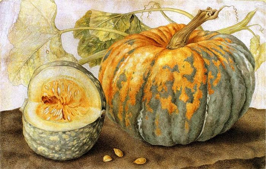 Still life with a Melon, vintage artwork by Giovanna Garzoni, 12x8" (A4) Poster