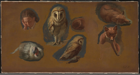 Studies of a Fox, a Barn Owl, a Peahen, and the Head of a Young Man, vintage artwork by Jacques-Laurent Agasse, 12x8" (A4) Poster