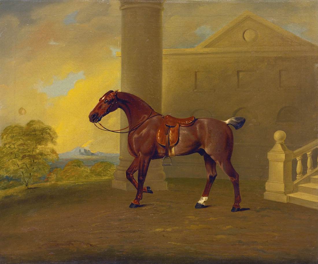 Roan Hack, vintage artwork by Benjamin Marshall, 12x8" (A4) Poster