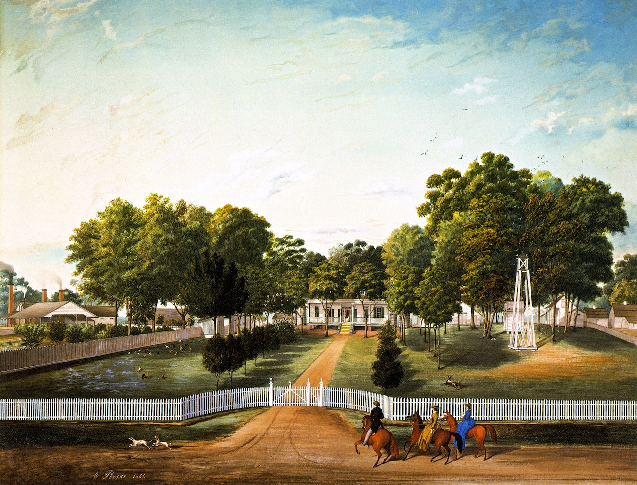 Faye Plantation, vintage artwork by Marie Adrien Persac, 12x8" (A4) Poster