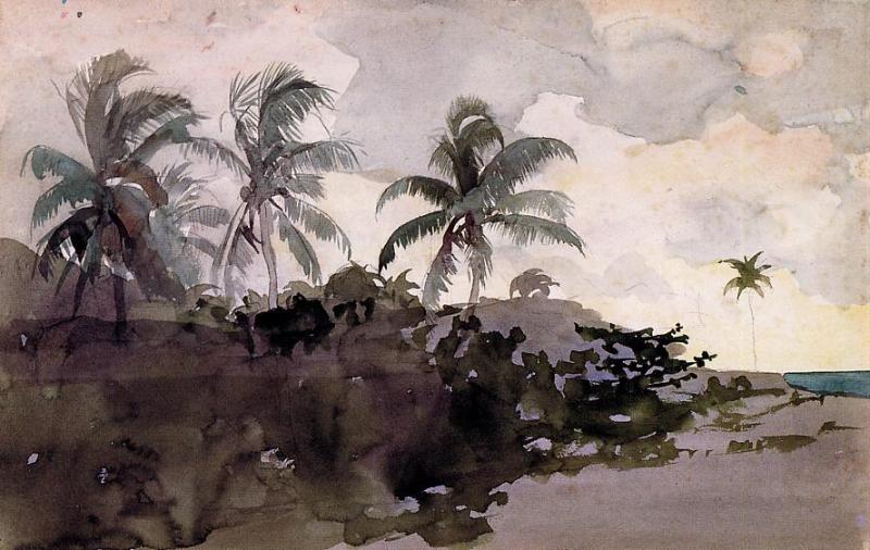Coconut Palms, vintage artwork by Winslow Homer, 12x8" (A4) Poster