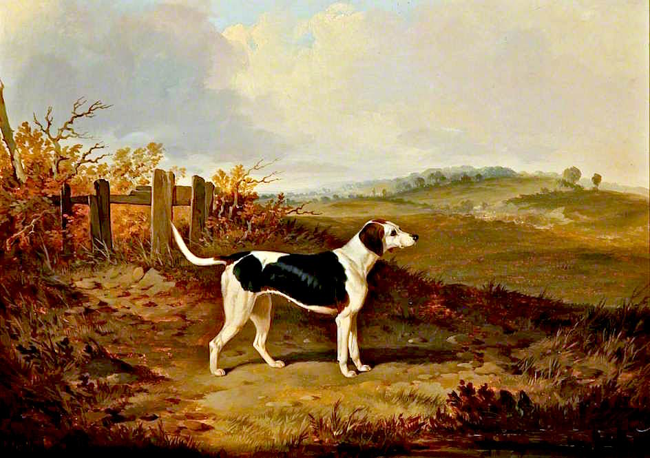 Foxhound in a Landscape, vintage artwork by John Dalby , A3 (16x12") Poster Print