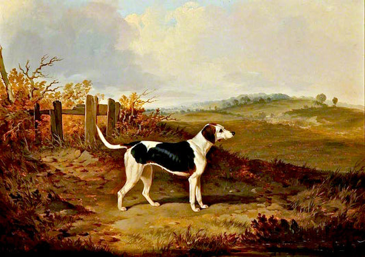Foxhound in a Landscape, vintage artwork by John Dalby , A3 (16x12") Poster Print
