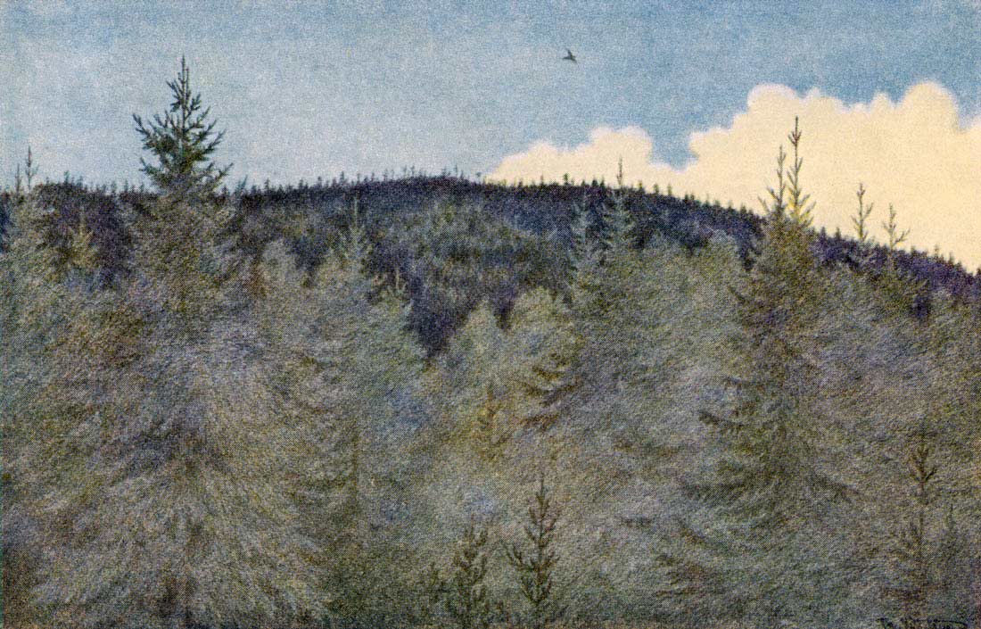 der floei en fugl over granehei by Theodor Severin Kittelsen,A3(16x12")Poster