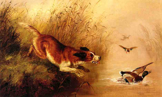 Spaniel Chasing Ducks, vintage artwork by Arthur Fitzwilliam Tait, A3 (16x12") Poster Print