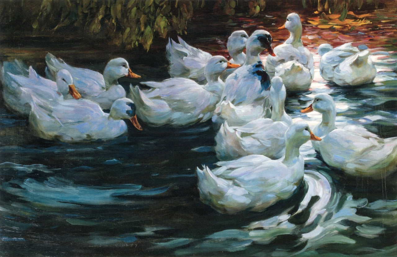 Homeward - Ducks on a Pond by Alexander Koester,A3(16x12")Poster