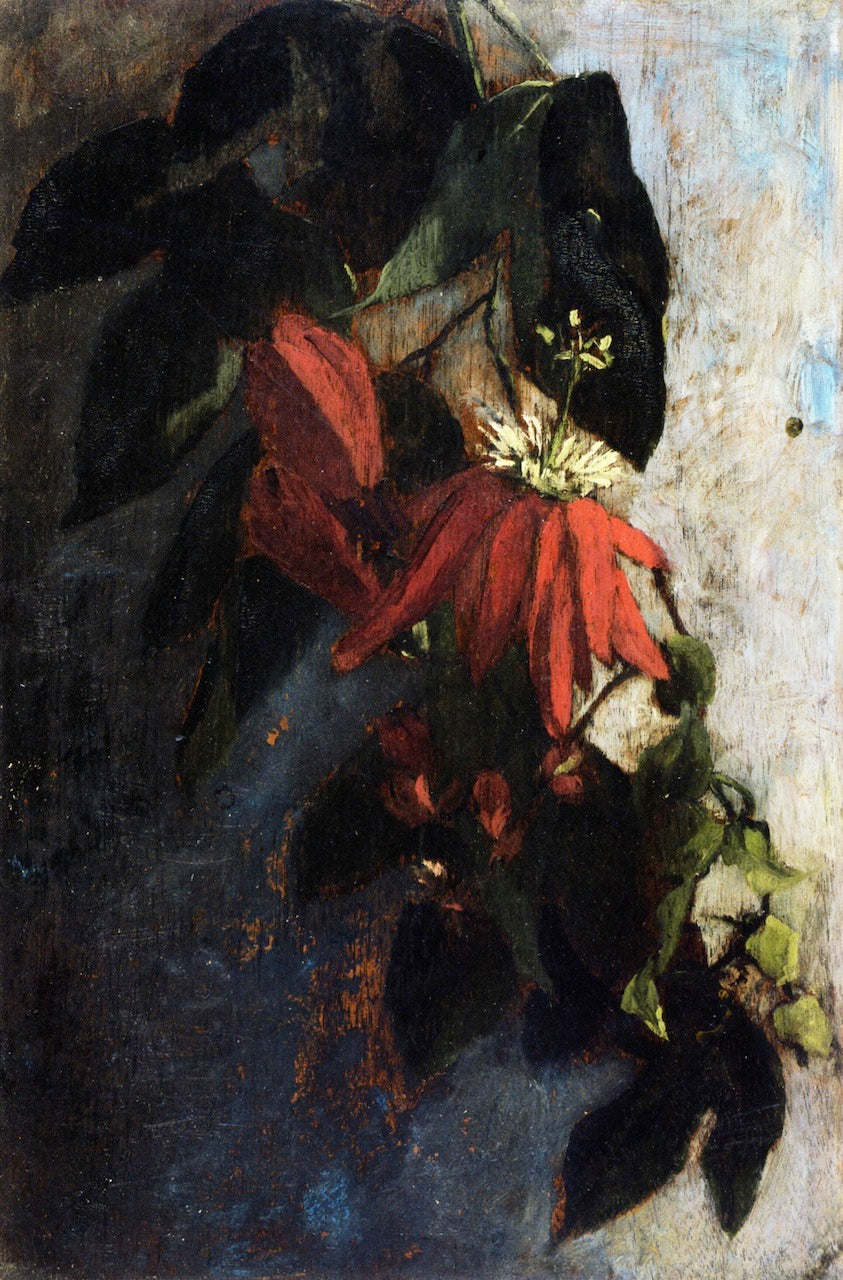 Passion Flowers, vintage artwork by Sarah Wyman Whitman, 12x8" (A4) Poster
