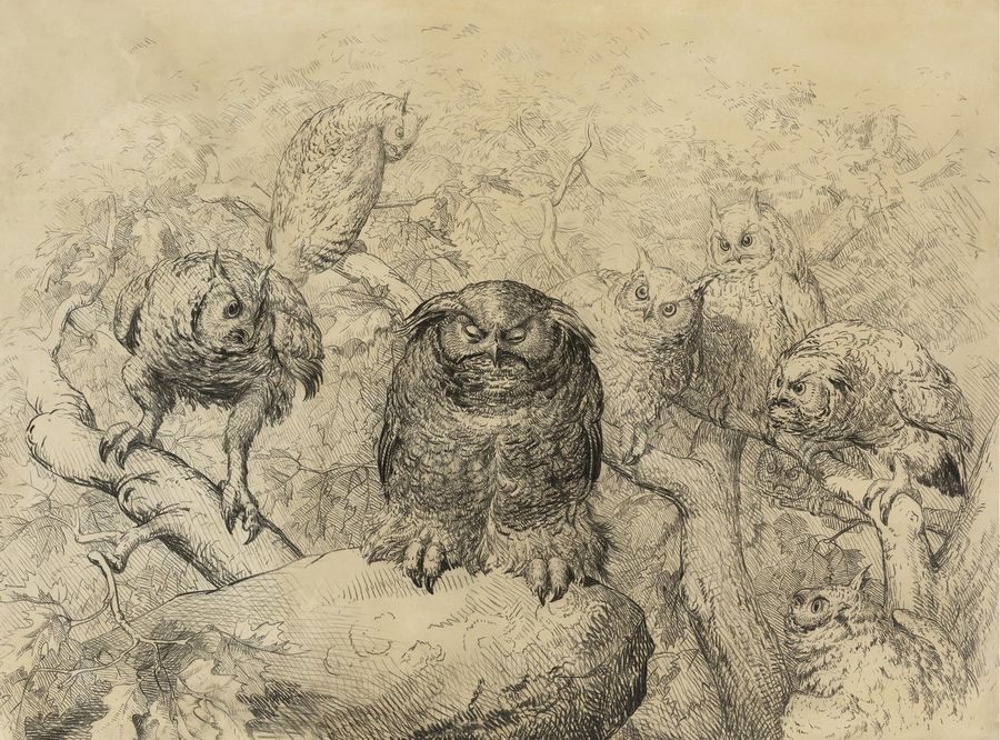 Minerva Reflecting, vintage artwork by William Holbrook Beard, 12x8" (A4) Poster