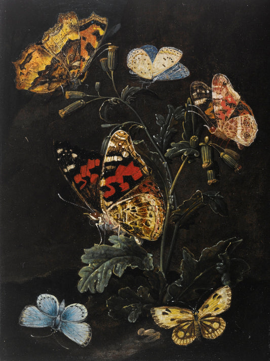 Forest Floor Still Life with Butterflies, vintage artwork by Elias van den Broeck, 12x8" (A4) Poster