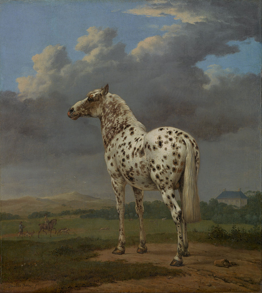 The ''Piebald'' Horse, vintage artwork by Paulus Potter, 12x8" (A4) Poster