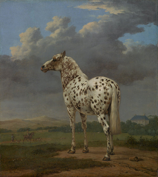 The ''Piebald'' Horse, vintage artwork by Paulus Potter, 12x8" (A4) Poster