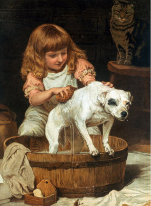 The Order of the Bath, vintage artwork by Charles Burton Barber, 12x8" (A4) Poster