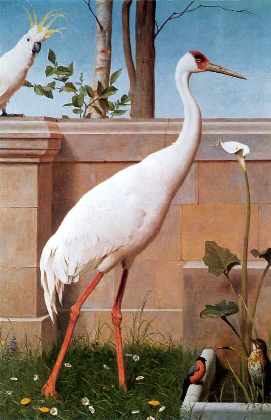 Indian Crane, Bullfinch and Thrush, vintage artwork by Henry Stacy Marks, 12x8" (A4) Poster
