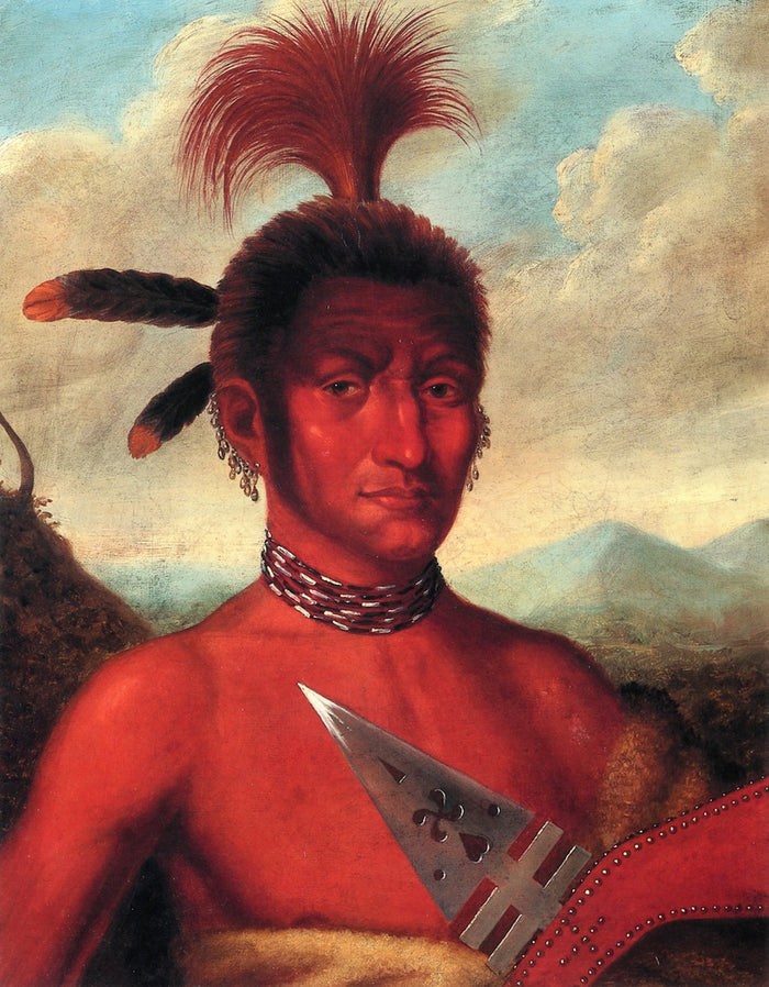 Moanahonga (Great Walker), an Iowa Chief, vintage artwork by Charles Bird King, 12x8