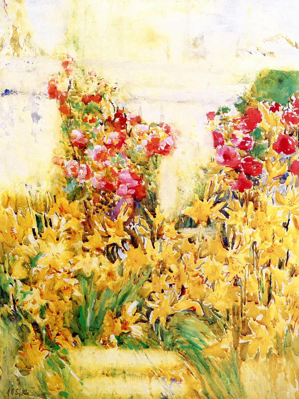 Tiger Lilies and Climbing Roses by Annie G. Sykes,A3(16x12")Poster