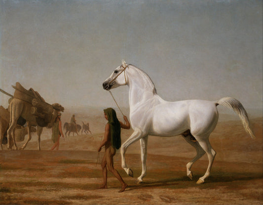 The Wellesley Grey Arabian Led through the Desert, vintage artwork by Jacques-Laurent Agasse, 12x8" (A4) Poster