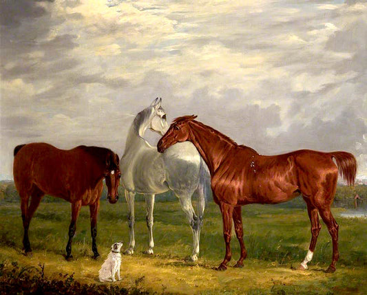 Three Horses of the 2nd Lord de Tabley and His Dog, 'Vic', vintage artwork by Henry Calvert, A3 (16x12") Poster Print