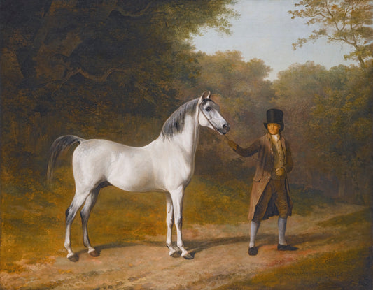 The Wellesley Arabian, vintage artwork by Jacques-Laurent Agasse, 12x8" (A4) Poster